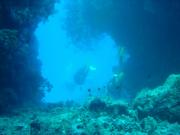 Diving/Great Barrier Reef 2004/DSC02480