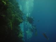 Diving/Great Barrier Reef 2004/DSC02518