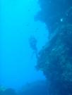 Diving/Great Barrier Reef 2004/DSC02580