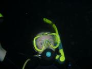 Diving/Great Barrier Reef 2004/DSC06066