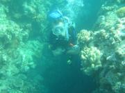 Diving/Great Barrier Reef 2004/PB100048
