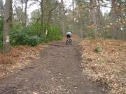 Mountain Biking/England/Oxney Moss/DSC00301