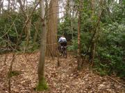 Mountain Biking/England/Oxney Moss/DSC00306