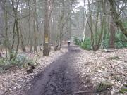 Mountain Biking/England/Oxney Moss/DSC00307