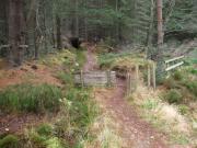 Mountain Biking/Scotland/Moray Monster Trails/DSCF2576