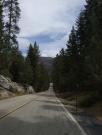 USA/Sequoia National Park/Wednesday 029