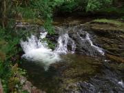 Wales/Waterfall walks/DSCF7254