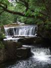 Wales/Waterfall walks/DSCF7269