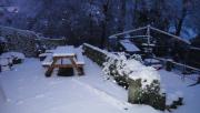 garden/Snow 2012/DSC05610