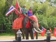 Asia/Thailand/Crocs Elephants and Snakes/DSC05687