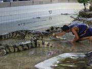 Asia/Thailand/Crocs Elephants and Snakes/DSC05717