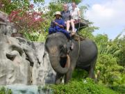 Asia/Thailand/Crocs Elephants and Snakes/DSC05733