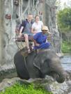 Asia/Thailand/Crocs Elephants and Snakes/DSC05735