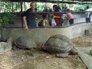 Asia/Thailand/Dusit Zoo/CIMG0672