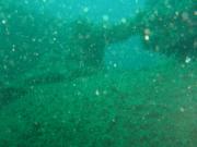 Diving/England/Portland/M2 Submarine/P4280185