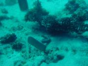 Diving/Great Barrier Reef 2001/Aquarius 3/DSC02118