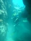 Diving/Great Barrier Reef 2004/DSC02655