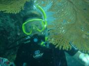 Diving/Great Barrier Reef 2004/DSC02664