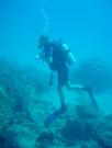 Diving/Great Barrier Reef 2004/DSC06081