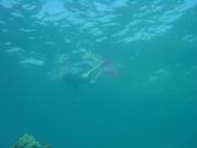 Diving/Great Barrier Reef 2004/DSC06119