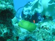 Diving/Great Barrier Reef 2004/PB090103
