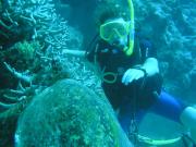 Diving/Great Barrier Reef 2004/PB090117