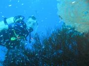 Diving/Great Barrier Reef 2004/PB100017