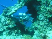 Diving/Great Barrier Reef 2004/PB100041