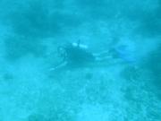 Diving/Great Barrier Reef 2004/PB110075