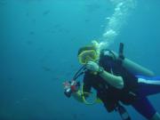 Diving/Thailand 2004/Koh Samui/DSC01715