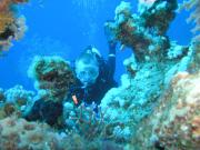 Diving/The Red Sea/2006/Ras Gozlani/P6160024