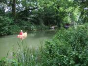 Kayaking/Canals/Basingstoke Canal/DSCF1224