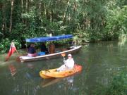 Kayaking/Canals/Basingstoke Canal/DSCF1798