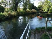Kayaking/Canals/Basingstoke Canal/DSCF2090
