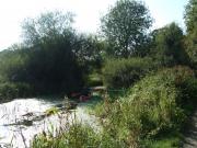 Kayaking/Canals/Basingstoke Canal/DSCF2119