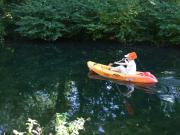 Kayaking/Canals/Basingstoke Canal/DSCF2139