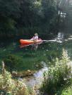 Kayaking/Canals/Basingstoke Canal/DSCF2140