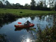 Kayaking/Canals/Basingstoke Canal/DSCF2142