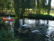 Kayaking/Canals/Basingstoke Canal/DSCF2153