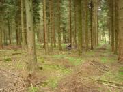 Mountain Biking/England/Forest of Dean/DSC03895