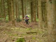 Mountain Biking/England/Forest of Dean/DSC03896