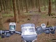 Mountain Biking/England/Forest of Dean/DSC03905