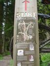 Mountain Biking/England/Forest of Dean/DSC03918