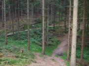Mountain Biking/England/Forest of Dean/DSCF0223