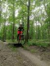 Mountain Biking/England/Forest of Dean/IMG_20200705_143158_BURST023