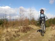 Mountain Biking/England/Lake District/Grizedale Forest/DSC06826