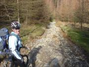 Mountain Biking/England/Lake District/Grizedale Forest/DSC06843