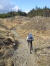 Mountain Biking/England/Lake District/Grizedale Forest/DSC06855