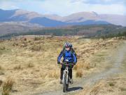 Mountain Biking/England/Lake District/Grizedale Forest/P4090126