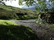 Mountain Biking/England/Lake District/Walna Scar Road/Picture 122